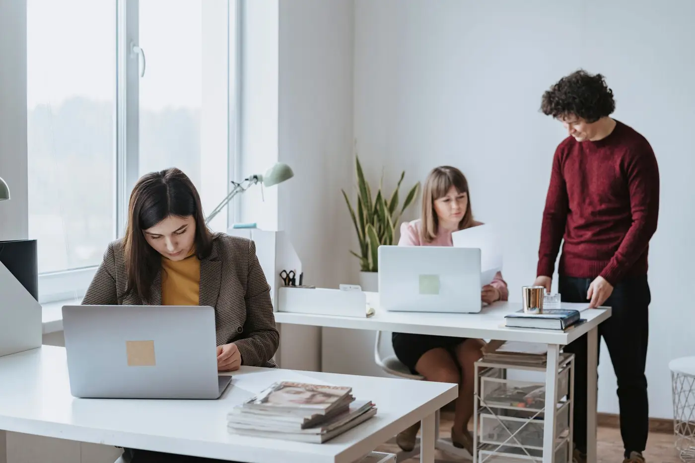 A small office team working at their desks by a window